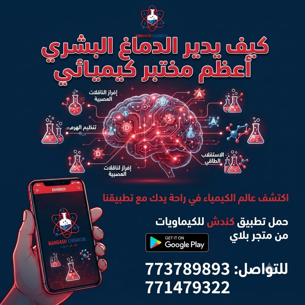 كيف يُدير الدماغ البشري أعظم مختبر كيميائي؟